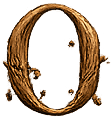 O