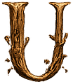 U